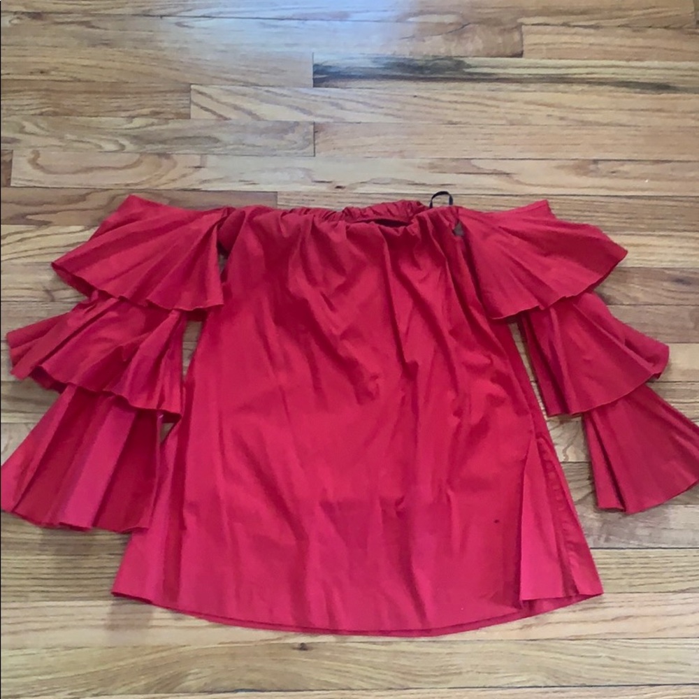 Red Ruffled Sleeve Dress - Picture 6 of 6